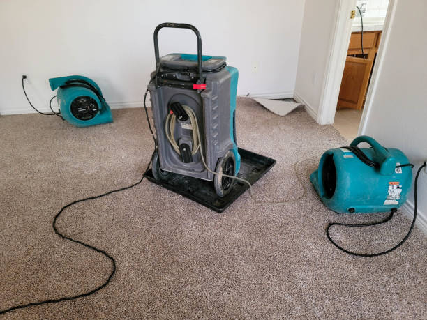 Best Flood restoration services  in Dale, PA