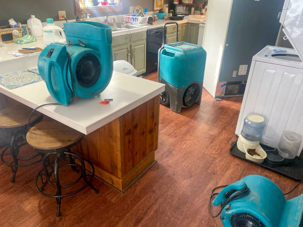 Best 24-hour water damage restoration  in Dale, PA
