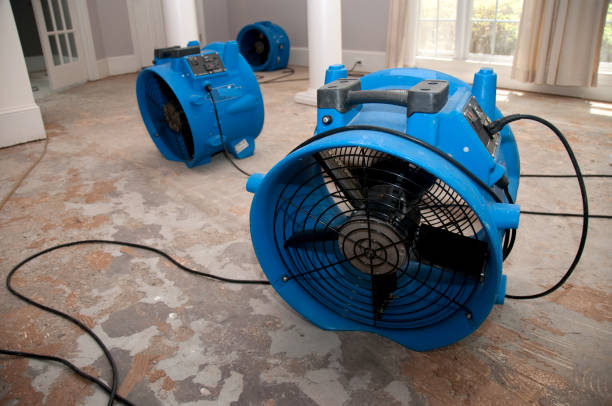 Best Basement water damage restoration  in Dale, PA