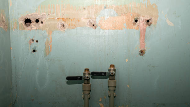 Best Flood damage cleanup  in Dale, PA
