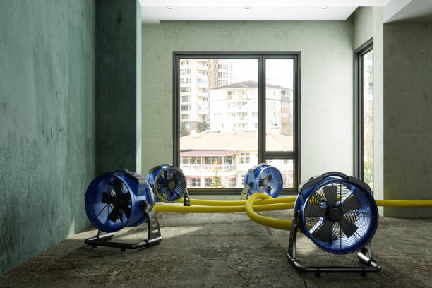 Best Professional water damage repair  in Dale, PA